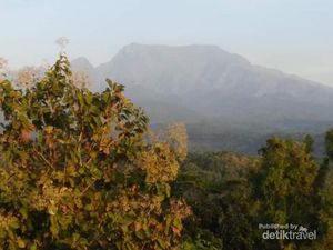 Foto: Selamat Pagi dari Gunung Wilis