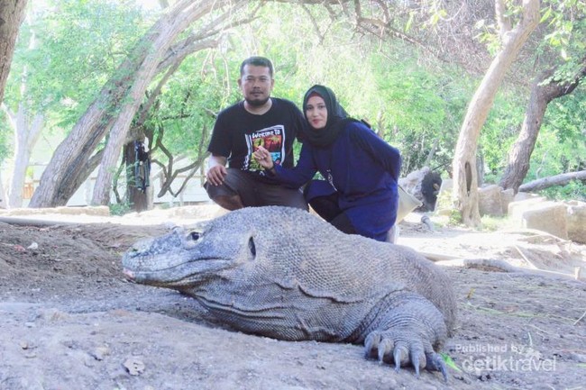 Foto: Sepenggal Kenangan Indah di Labuan Bajo