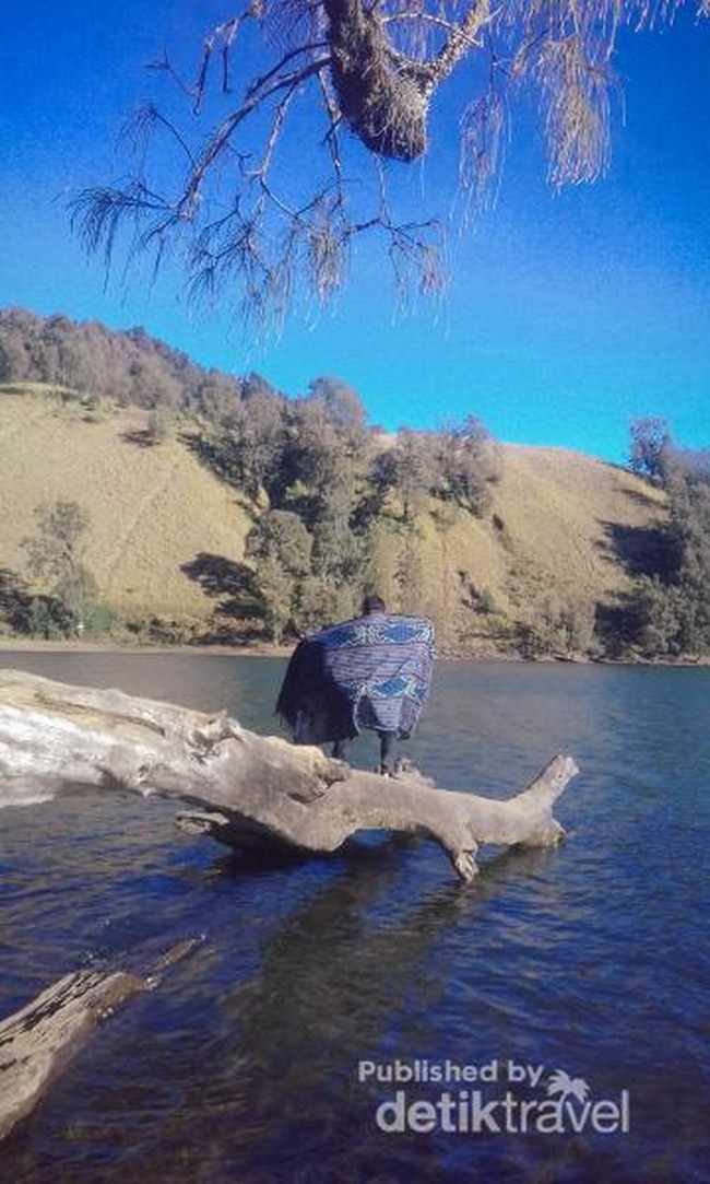 Foto: Syahdu di Semeru, Ranu Kumbolo dan Oro-oro Ombo