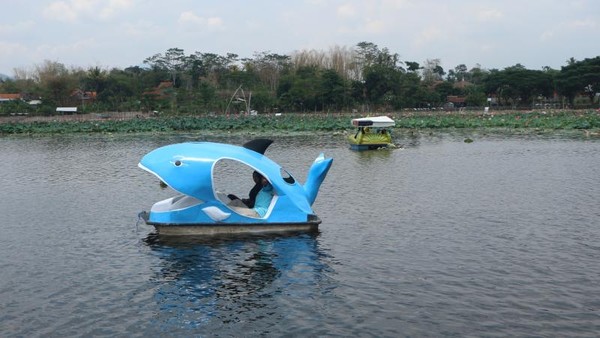 Untuk sepeda air sewa nya Rp. 20.000 untuk 20 menit