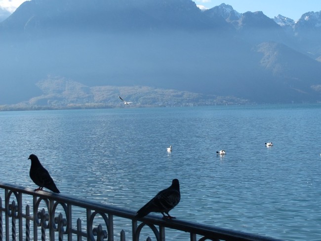 Freddie Mercury dan Birunya Danau Jenewa