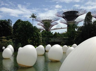Gardens By The Bay, Taman Ciamik Di Jantung Kota Singapura