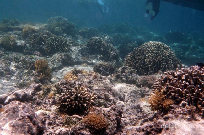 Gili Trawangan, Surga Bawah Laut di Lombok