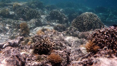 Gili Trawangan, Surga Bawah Laut di Lombok