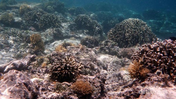 Gili Trawangan, Surga Bawah Laut di Lombok