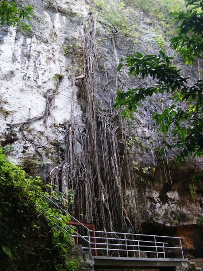 Goa Cerme, Bantul - Yogyakarta