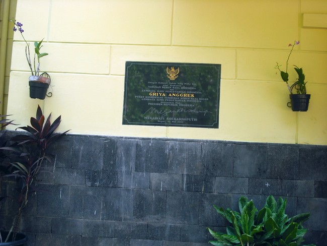 Griya Anggrek, Rumah Tanaman Paling Cantik di Kebun Raya Bogor