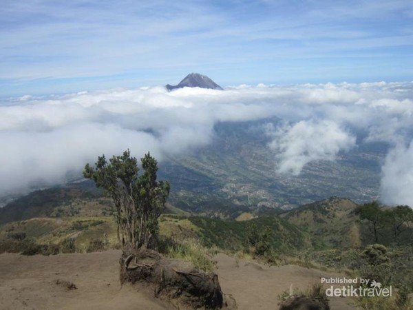 Gunung Merbabu punya 5 jalur pendakian, yaitu: Selo, Thekelan, Wekas, Cunthel dan Suwanting.