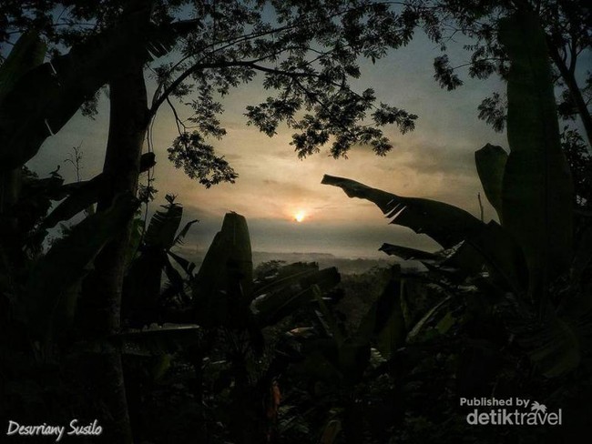 Gunung Munara di Bogor yang Indah Nan Menantang
