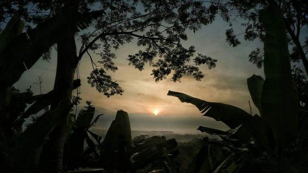 Gunung Munara di Bogor yang Indah Nan Menantang