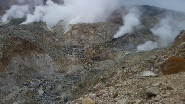 Gunung Papandayan, dari Kawah Belerang Sampai Padang Edelweiss