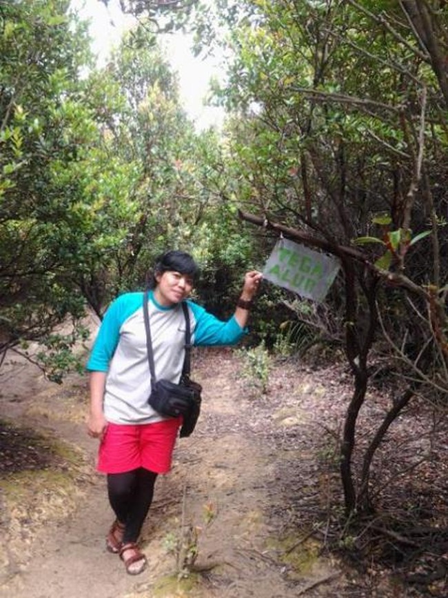 Gunung Papandayan Punya Surga Edelweis