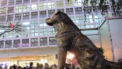 Hachiko, dari Patung Sampai Jadi Gambar Bus Jepang