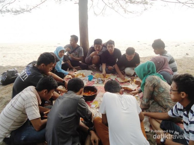 Hamparan Pinus di Pantai Pasir Jambak, Padang
