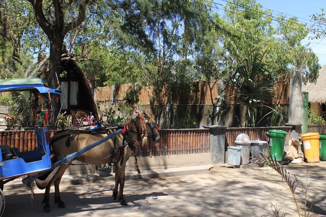 Hatiku Tertawan di Gili Trawangan