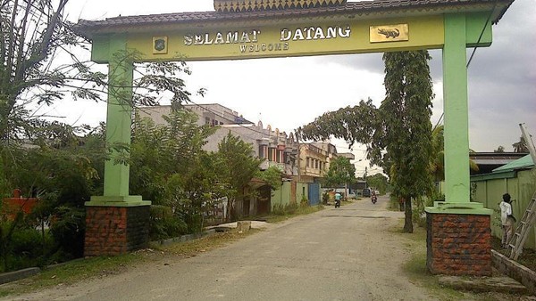 Hiii, Masih Ada Buaya di Medan!