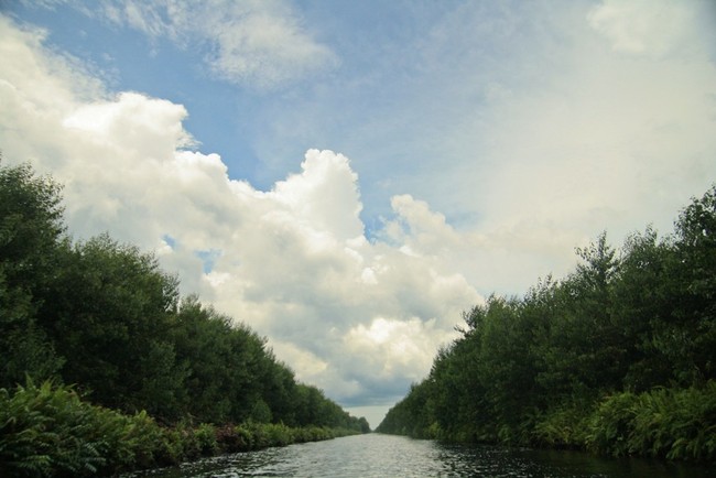 Hutan Biosfer Giam Siak Kecil