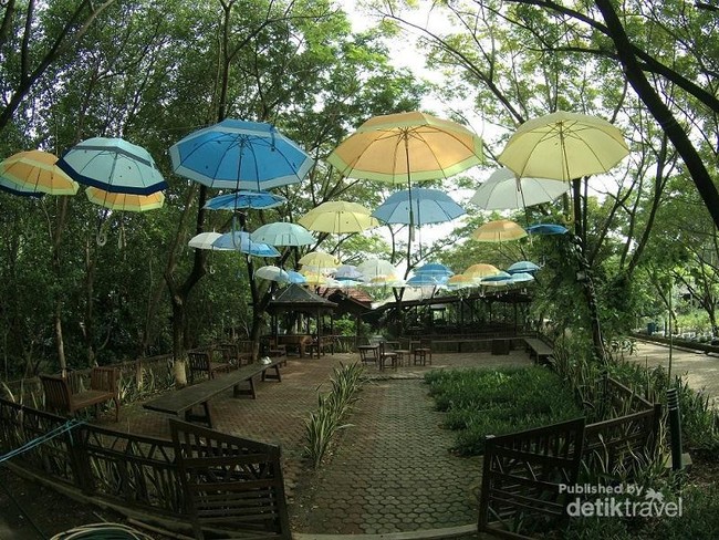 Hutan Mangrove yang Asyik Buat Libur Akhir Pekan di Jakarta