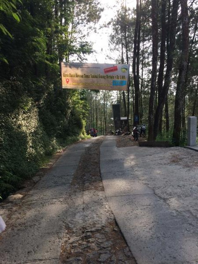 Hutan Pinus di Magelang yang Sejuk dan Asyik Buat Foto-foto