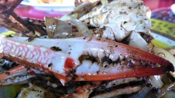 Icip-icip Seafood Segar di Kampung Nelayan Kepri