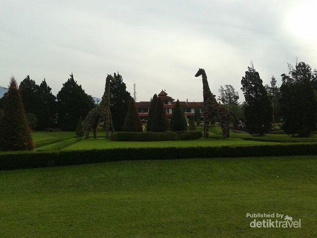Ide Liburan Weekend Ini, ke Taman Bunga Nusantara