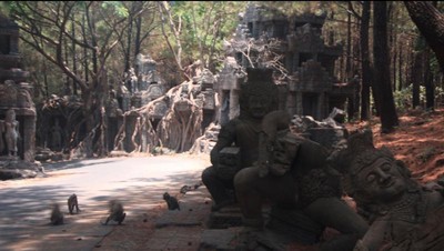 Ide Weekend: Wisata Edukasi di Taman Safari Prigen