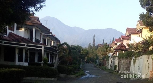 Ijo Royo-royo, Wisata Alam di Puncak