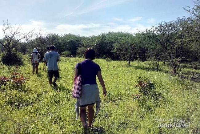 Long Weekend, Bertualang Ala Afrika di Baluran