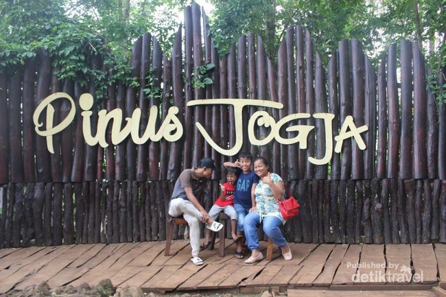Indahnya Hutan Pinus Jogja yang Tak Pernah Membosankan