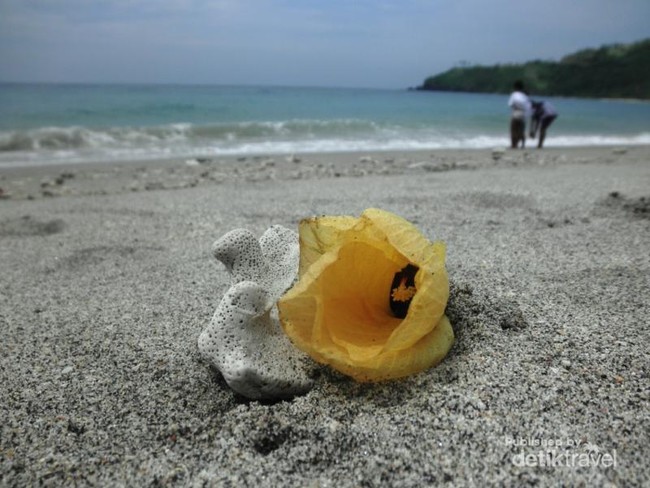 Ingin Pantai Tenang di Lombok? Nipah Jawabnya