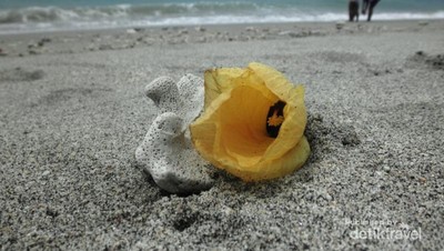 Ingin Pantai Tenang di Lombok? Nipah Jawabnya