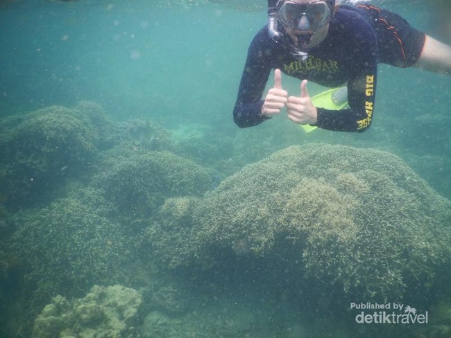 Ini 2 Tempat Snorkeling Asyik di Lampung