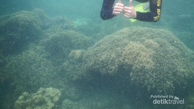 Ini 2 Tempat Snorkeling Asyik di Lampung