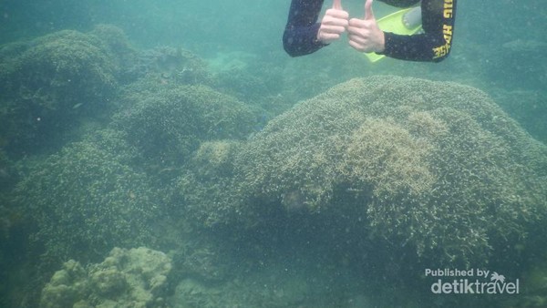 Ini 2 Tempat Snorkeling Asyik di Lampung