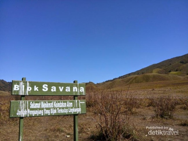 Ini Dia Bukit Teletubbies di Gunung Bromo