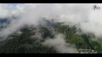kawasan hutan di sekeliling objek wisata Lot kucak, foto Disparpora BM