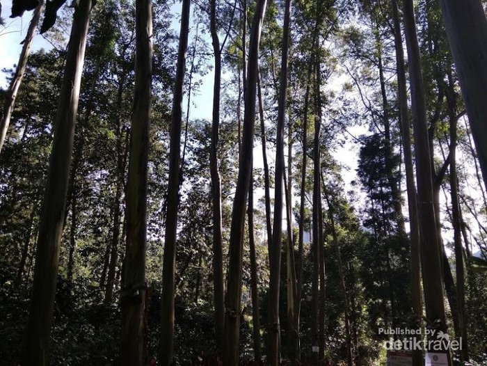 Ini Nih Titik 0 Citarum