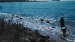 Ini Pantai Bohay, Lokasinya di Samping PLTU Paiton