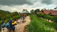 Cafe Laisy Dairy Farm yang instagramble