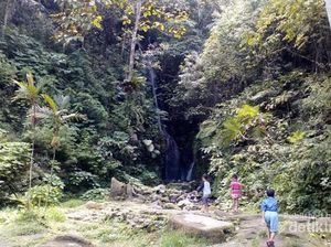 Ini Surga Tersembunyi di Tengah Kebon Raya Cibodas