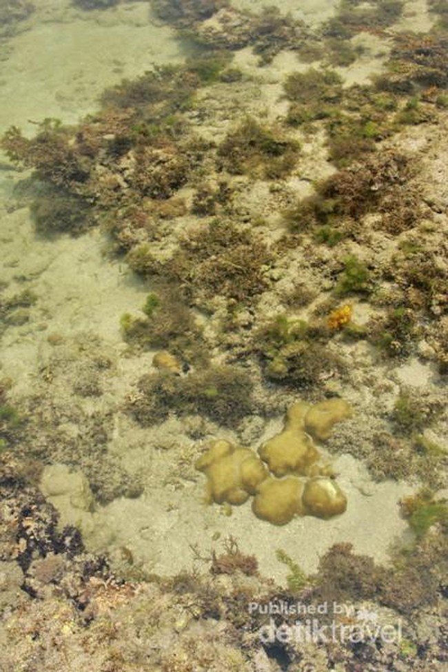 Ini yang Bening-bening di Anyer