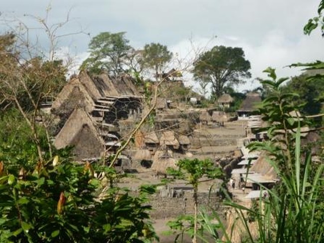 Inilah Kearifan Lokal dan Sisi Unik Kampung Bena, Flores