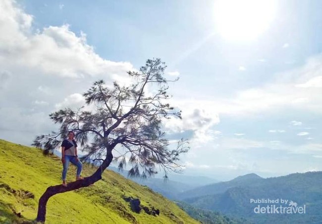 Intip Cantiknya Destinasi Timor Tengah Selatan