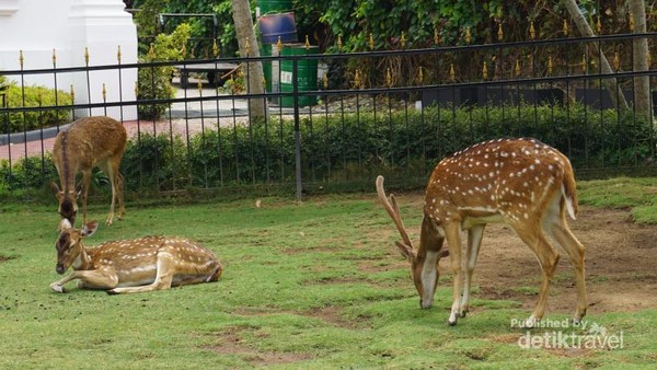 Istana Negara Juga Ada di Kota Batu