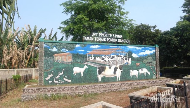 Jakarta Punya Eduwisata Peternakan Lho!