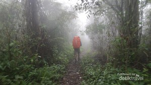Jalan Panjang Menuju Puncak Gunung Argopuro