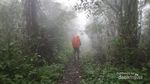 Jalan Panjang Menuju Puncak Gunung Argopuro