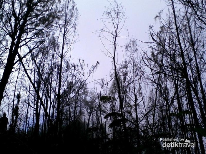 Jalur Mistis Candi Cetho