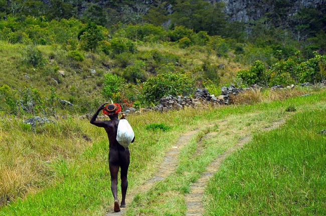 Jalur Trekking Kurima