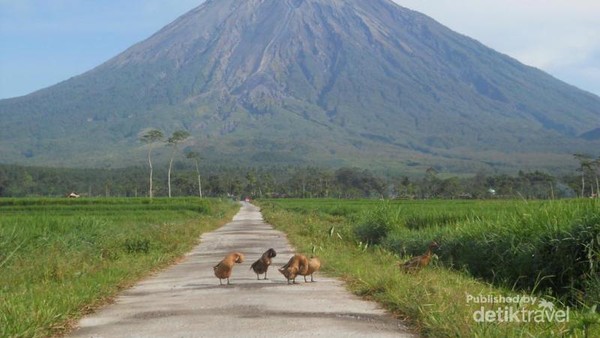 Jauh atau Dekat, Semeru Tetap Gagah!